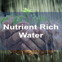 Aquaponics-Hands Cupping Nutrient Rich Water