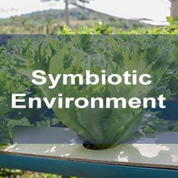 Aquaponics-Symbiotic Environment with Plants