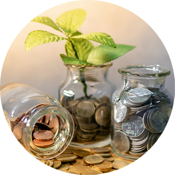 Economy - Jars of Coins & Leaf