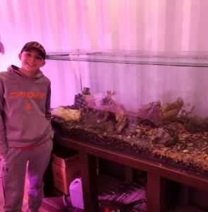 A man standing next to an aquarium with plants.