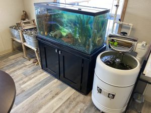 A fish tank and some other items in a room.