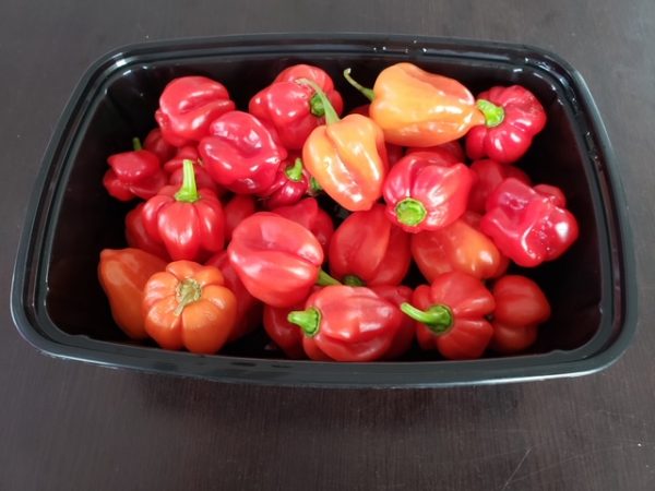 A black container filled with red and orange peppers.