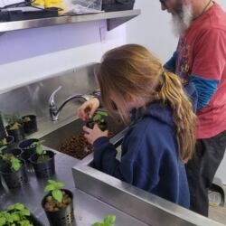 A girl and her father are working in the kitchen.