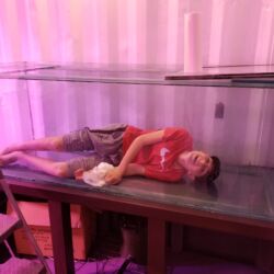 A man laying on the ground in front of a table.