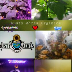 A collage of photos with the words rusty acres organics in the center.